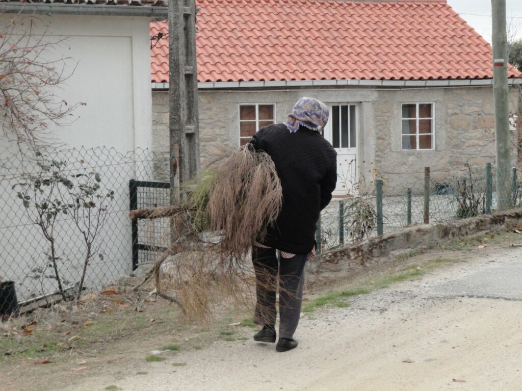  Mujer trasportando leña. Frontera Portugal-España (2017)