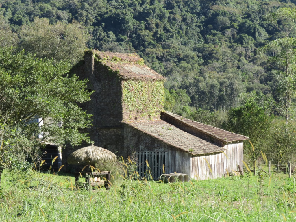 Paisagem rural no município de Urussanga no Estado de Santa Catarina, Brasil.