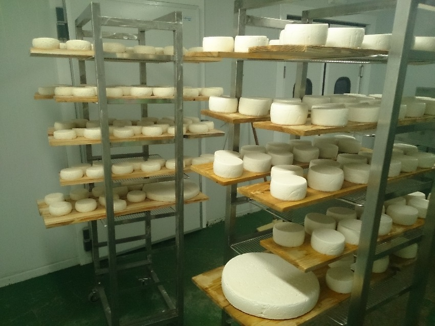 Interior de un obrador para la elaboración artesanal de quesos, productor local de Taüll (Vall de Boí, Catalunya)